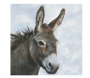 Honkey The Donkey (Beverage Napkin)