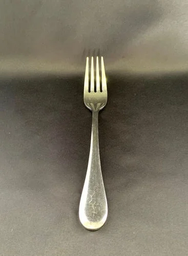 Lumos Dinner Fork