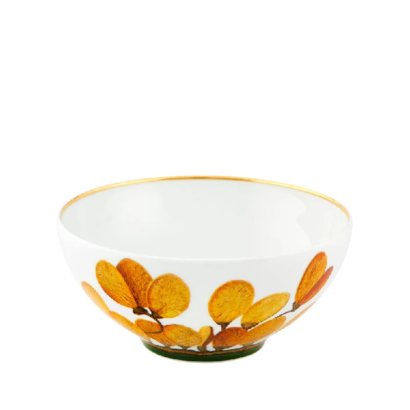 Amazonia Cereal Bowl Set of 4