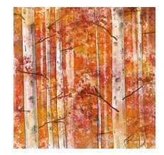 Autumn Birch (Beverage Napkin)