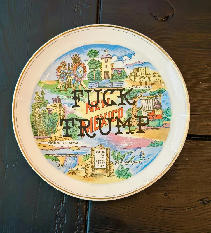 Fuck Trump | Vulgar vintage souvenir New Mexico 10in decorative plate with wall hanger